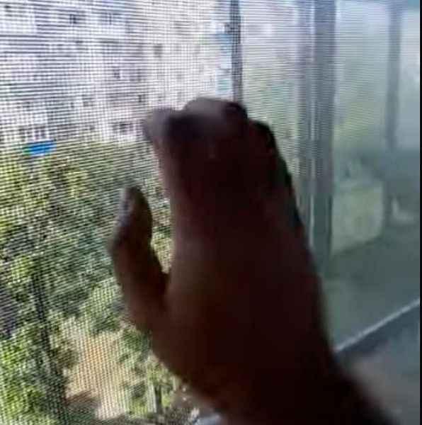 МОСКИТНЫЕ СЕТКИ ЗАКАЗАТЬ